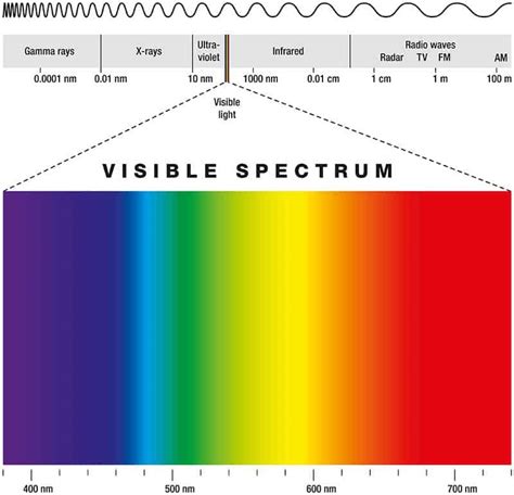 Best Light Spectrum For Growing Plants Growing With Artificial Light