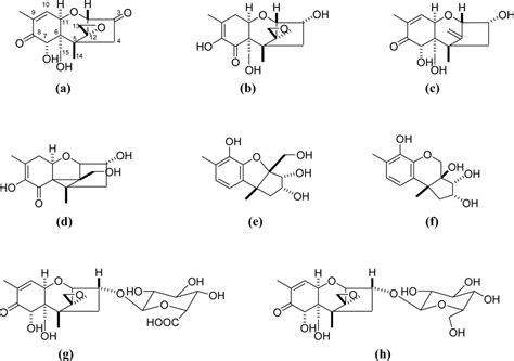 IJMS | Free Full-Text | Effects of Milling and Cooking ...