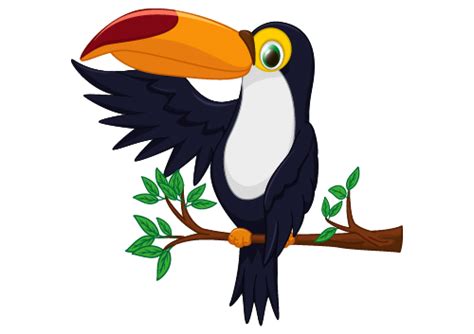 Cartoon Toucan Bird Vector 02 Vector Animal Free Download