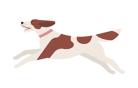 Premium Vector Happy Running Dog With Patched Coat Playful Cute