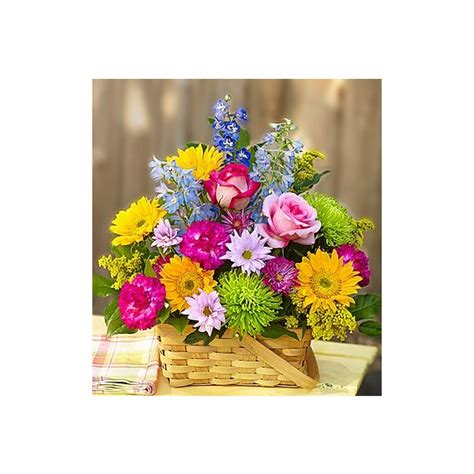 The consumer floral segment comprises the operations of the company's flagship brand. 1-800-FLOWERS® SUNNY GARDEN BASKET™ | Akron, OH