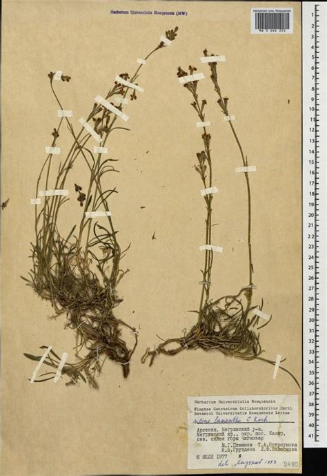 89 percent of the Moscow University Herbarium have been ...