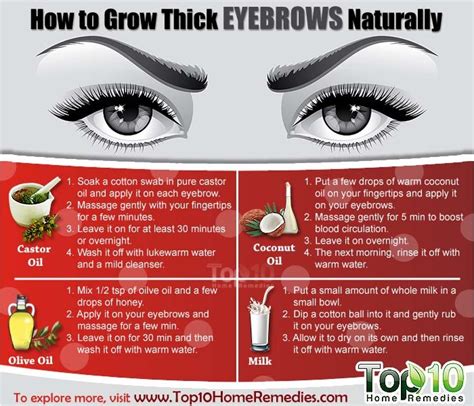 How To Grow Thick Eyebrows Naturally Page 2 Of 3 Top 10 Home Remedies
