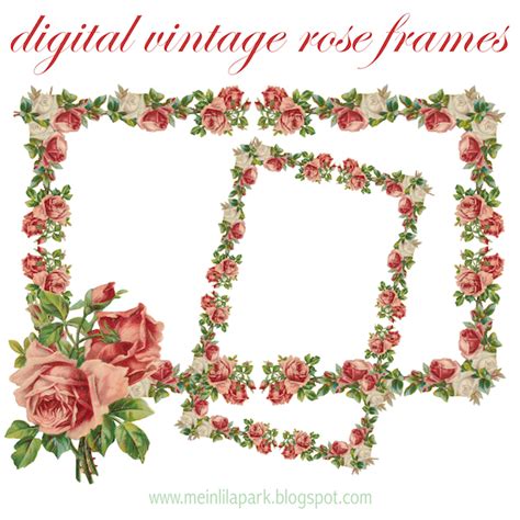 Free Digital Vintage Rose Frame And Border Png