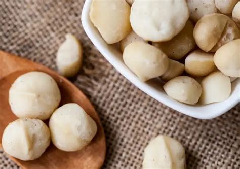 Macadamia Nuts Allergy Properties Health Benefits