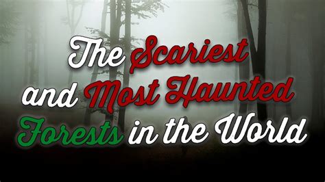 13 Of The Scariest And Most Haunted Forests In The World Youtube