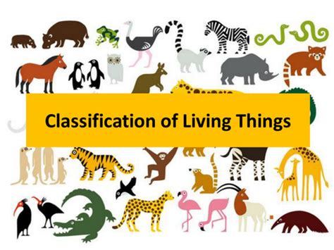 Ks2 Classification Of Living Things Teaching Resources