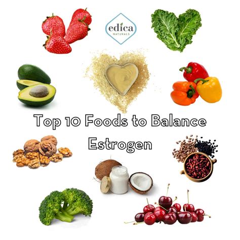 Food With Estrogen List TheSuperHealthyFood