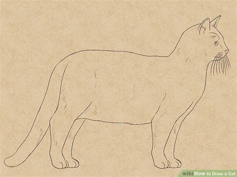 The 4 Best Ways to Draw a Cat - wikiHow