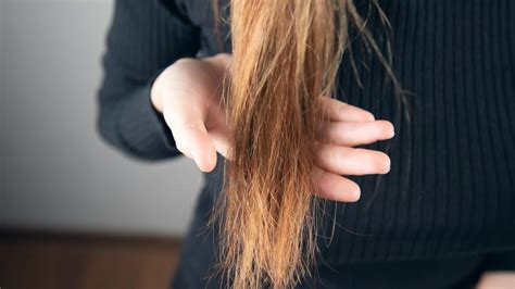 Is My Hair Damaged How To Tell And What To Do About It Eden Hair Energy