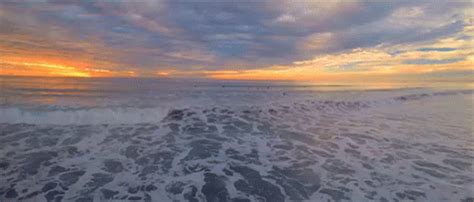 Just paste the url into the input above! Ocean GIFs | Tenor