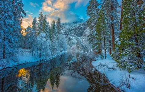 Wallpaper Winter Forest Snow Trees Mountains Reflection River Ca