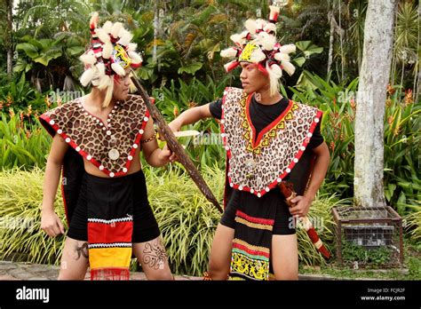 Dayak Traditional Costumes Kuching Sarawak Stock Photo Alamy