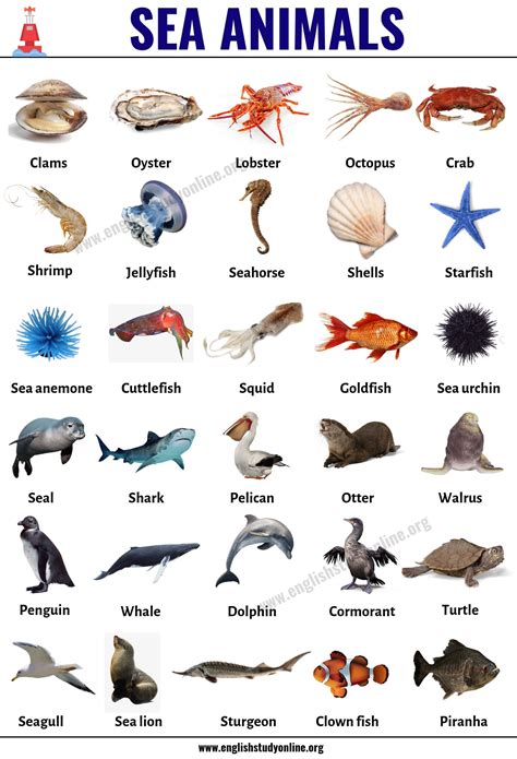 Awesome printable animal charts that you must know, you're in good company if you're looking for printable animal charts. Sea Animals: List of 30+ Popular Sea Animals with ESL ...