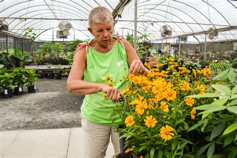 Always enjoy shopping at this store location. Deadheading-1-2 - Green Side Up Garden & Gifts