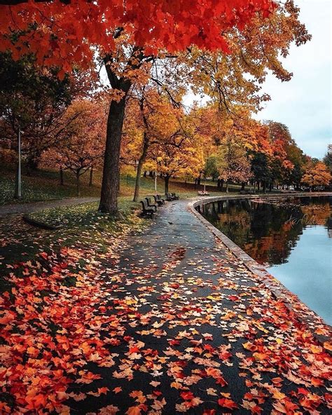 46 Soothing Autumn Landscape Ideas For This Season