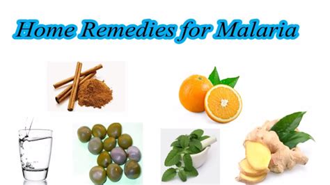 Natural Home Remedies For Malaria Youtube