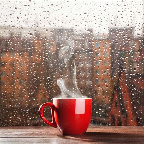 Rainy Day Pictures Gallery With 51 Full Hd Images Live Enhanced