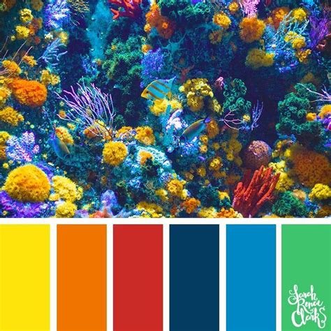 Coral Reef Color Coral Colour Palette Beach Color Palettes Color