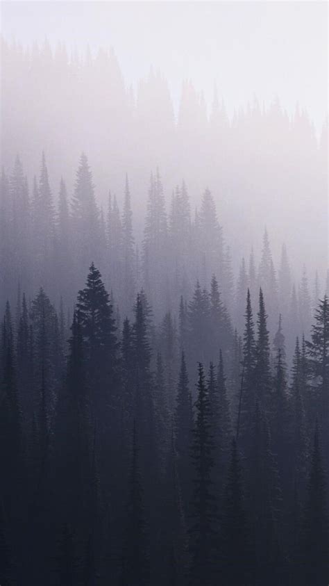 750x1334 Forest Mist Iphone 6 Iphone 6s Iphone 7 Hd 4k Wallpapers