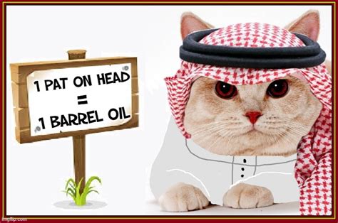 The Arab Cat Prince Has Spoken Imgflip