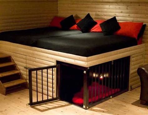 The latest trends in modern house design and decorating. 33 Modern Cat and Dog Beds, Creative Pet Furniture Design ...
