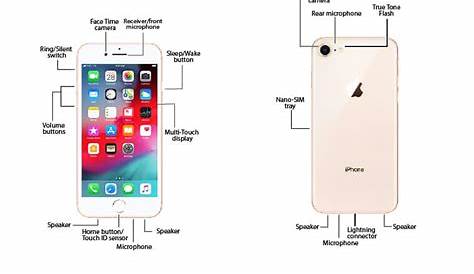 Apple iPhone 8 / 8 Plus Diagram - AT&T Device Support