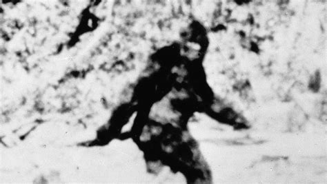 Fbi Releases Bigfoot Files Vermont Has A History Of Sightings