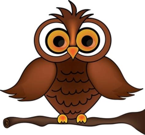 Wise Old Owl Cartoon Owl On A Tree Branch Smu Free Images At Clker