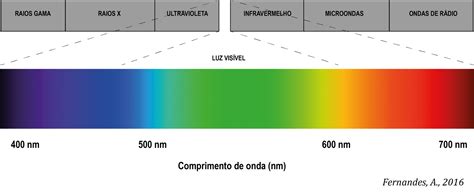Espectro De Luz Visible Por El Ojo Humano Consejos Ojos