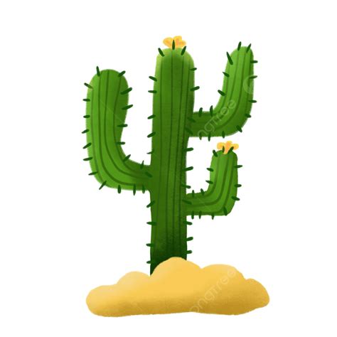Cactus Desert Png Picture Cartoon Desert Cactus Vector Material