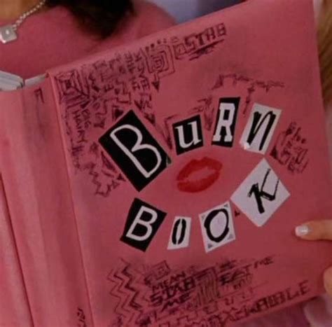 I don't want you to ever be touched by the gray areas i'm immersed in, baby. Judgemental Book Remixes : mean girls burn book