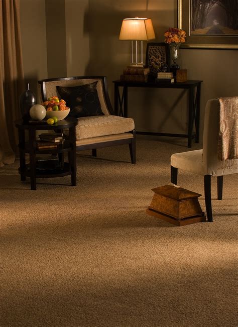 Karastan Carpet Traditional Living Room Boston By Dover Rug
