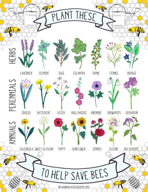 Plant These To Help Save Bees 16x20 Poster Or 8x10 Print Save The