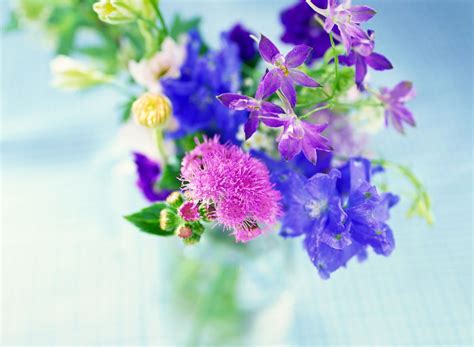From pensacola to tampa to miami, you can send birthday, anniversary, holiday, and funeral flowers with ease. Why You Shouldn't Order from 1800Flowers.com
