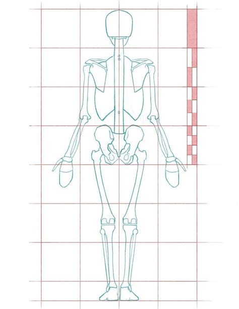 Pin On Human Figure Drawing And Anatomy Reference