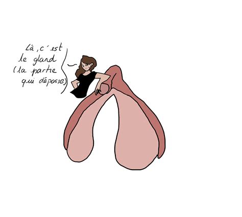 Mesdames connaissez vous VRAIMENT votre clitoris Une jeune illustratrice Française fait le