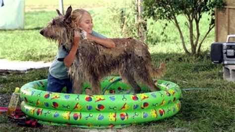 Hubert never experienced any fear, and this was partly because he was not particularly intelligent. Because of Winn-Dixie Book Trailer - YouTube