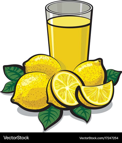 Fresh Lemon Juice Royalty Free Vector Image Vectorstock