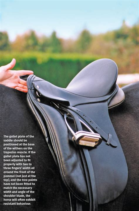 Top 10 Signs Of Poor Saddle Fit