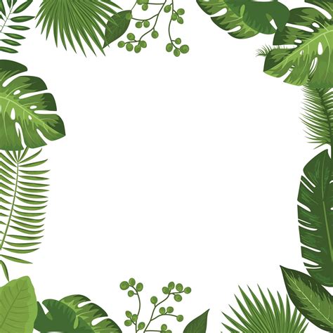 Tropical Design Border Frame Template Green Jungle Palm Tree Leaves
