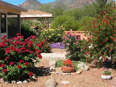 Speaking of crazy ideas for making planters; an arizona garden | Arizona gardening, Garden, Lush garden