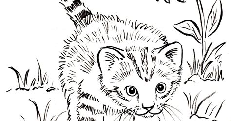 Kitten Coloring Page - Art Starts