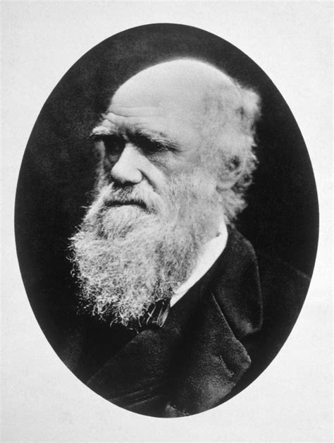 Charles Darwin Rilogeo