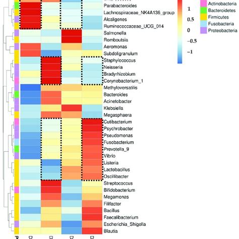 Heat Map And Hierarchical Clustering Of Genera Of Bacterial Download Scientific Diagram