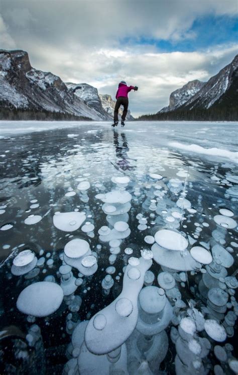 Frozen Bubbles In Canadian Lakes In Pictures Canadian Lakes Banff