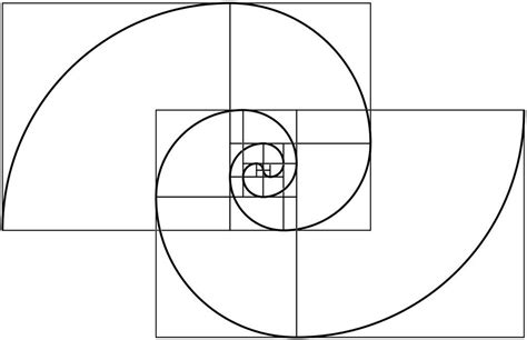 Repeating The Fibonacci Sequence Once Shows How A Spiral Is Formed