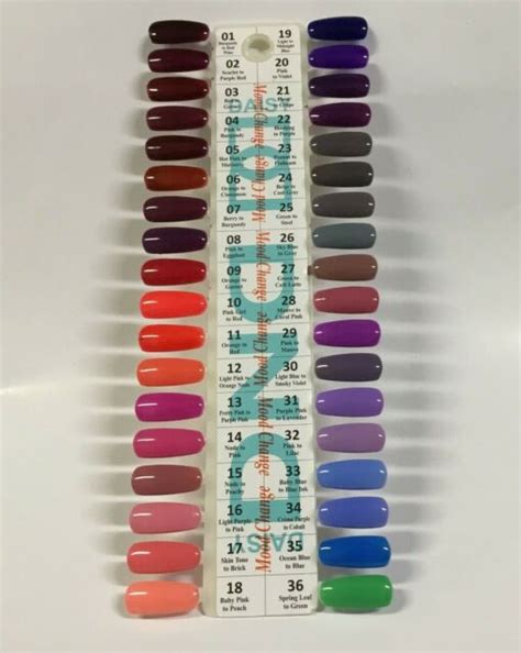 DC DND Daisy Color Chart Gel Polish Color Sample Chart Palette Display