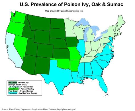 Poison Ivy Oak And Sumac And Where Each Type Is Found In Usa Poison