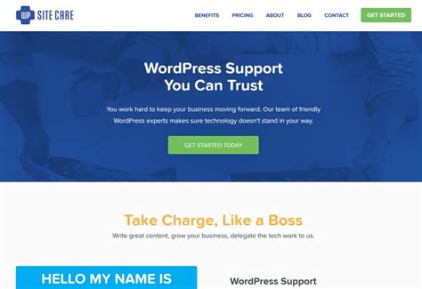 Our Guide To The Top 5 Wordpress Maintenance Services Alienwp